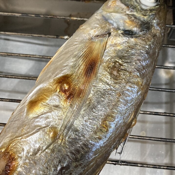 冷凍酒漬け真あじの塩焼き レシピ 作り方 By へんてこへんてこママ 楽天レシピ 冷凍酒漬け真あじの塩焼き レシピ 作り方 By へんてこへんてこママ 楽天レシピ